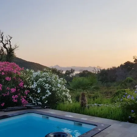 Villa Luxueuse A Avec Piscine
