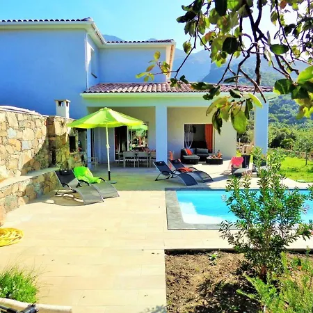 Villa Luxueuse A Avec Piscine Farinole